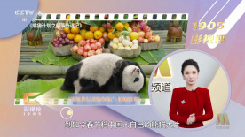国产精品冒白浆免费视频